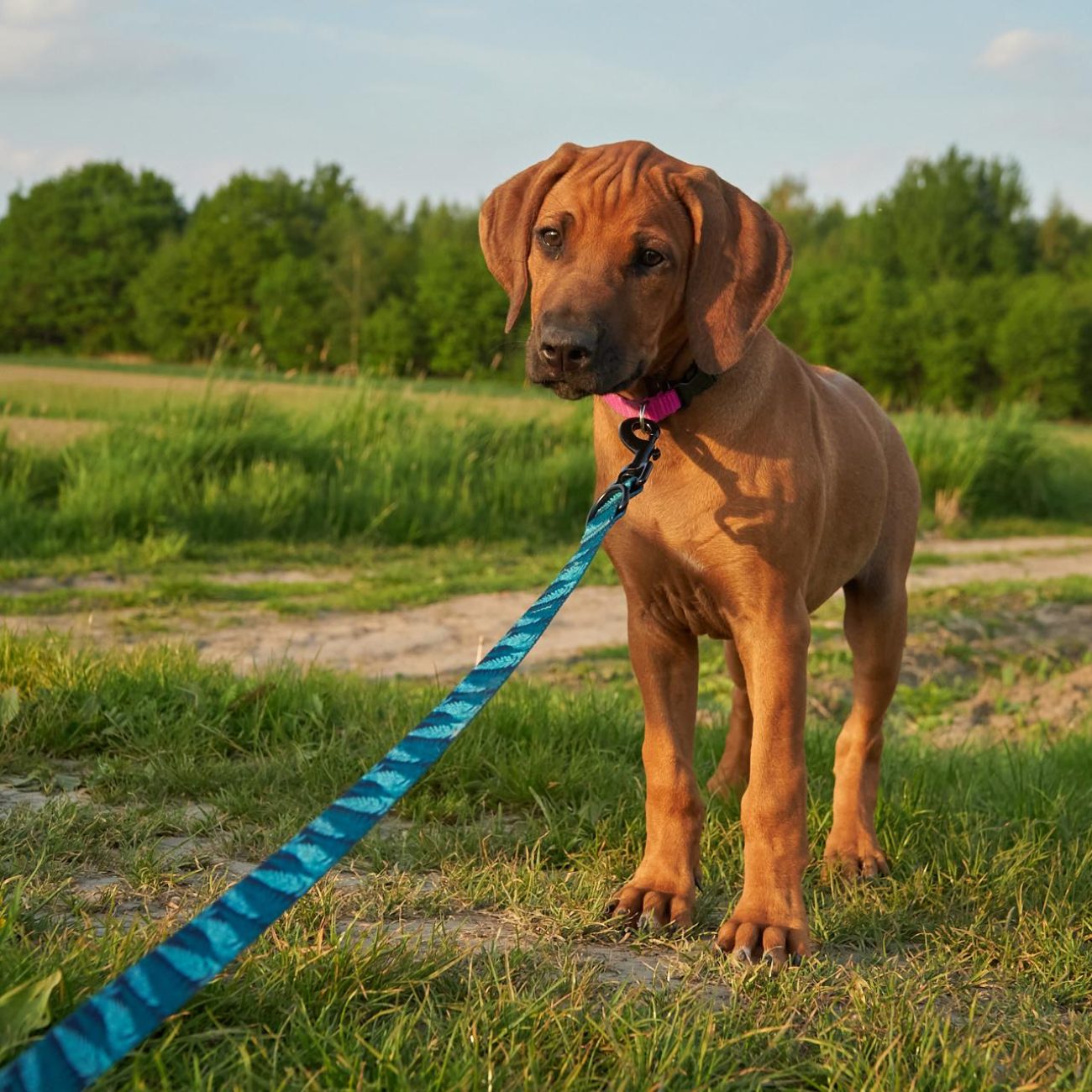 20220514_DSN00791_CO