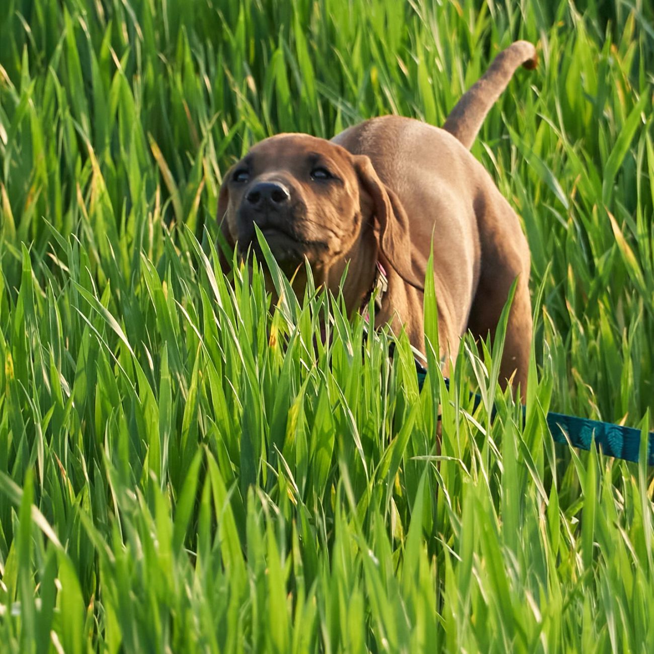 20220514_DSN00815_CO