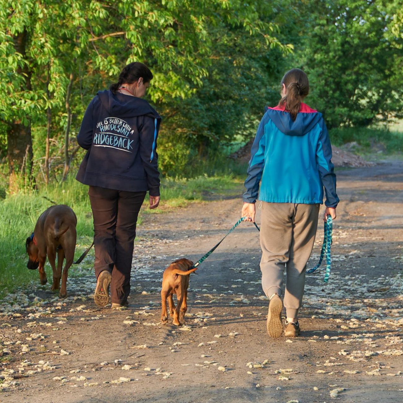 20220514_DSN00835_CO