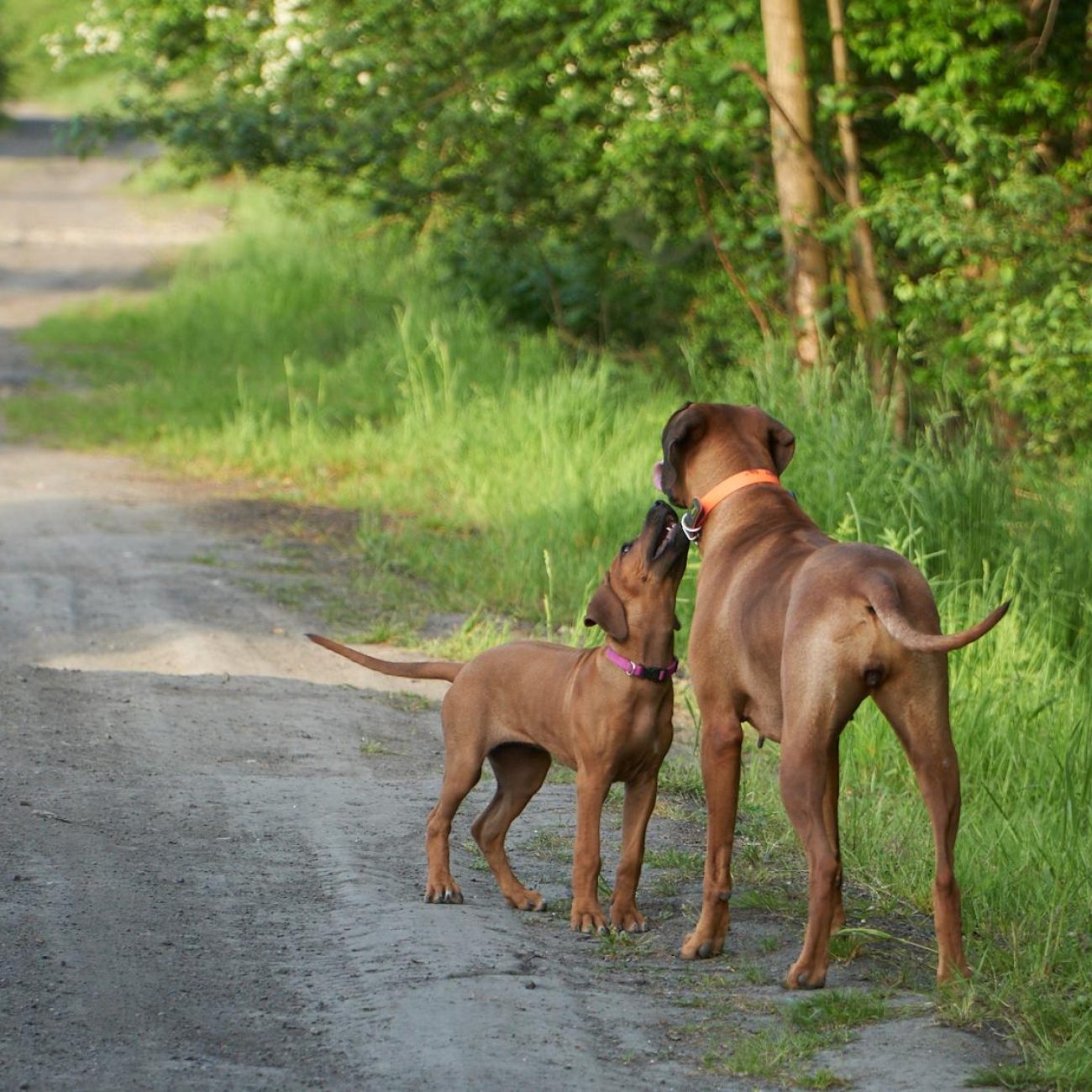 20220519_DSN00844_CO