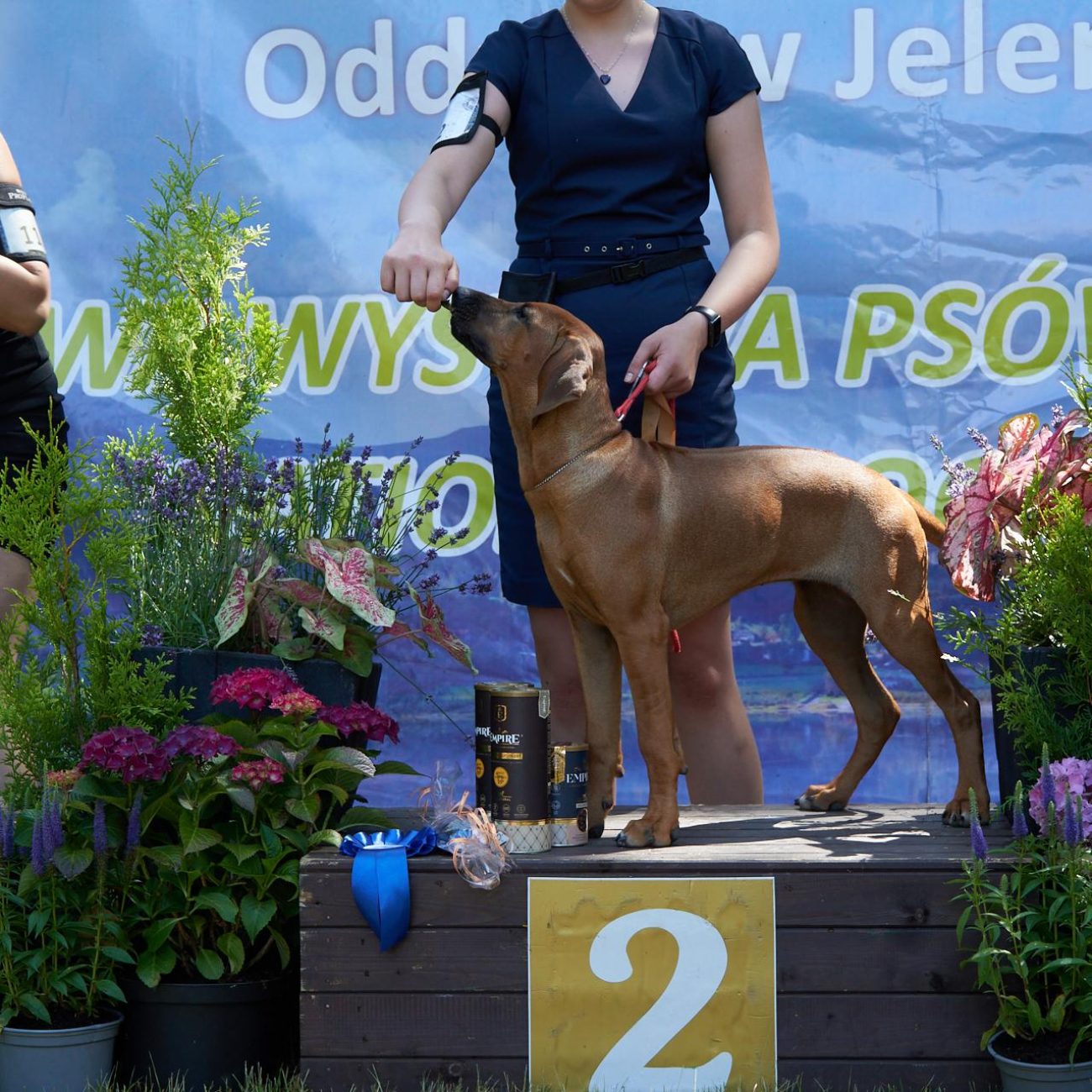 20220625_DSN01264_CO