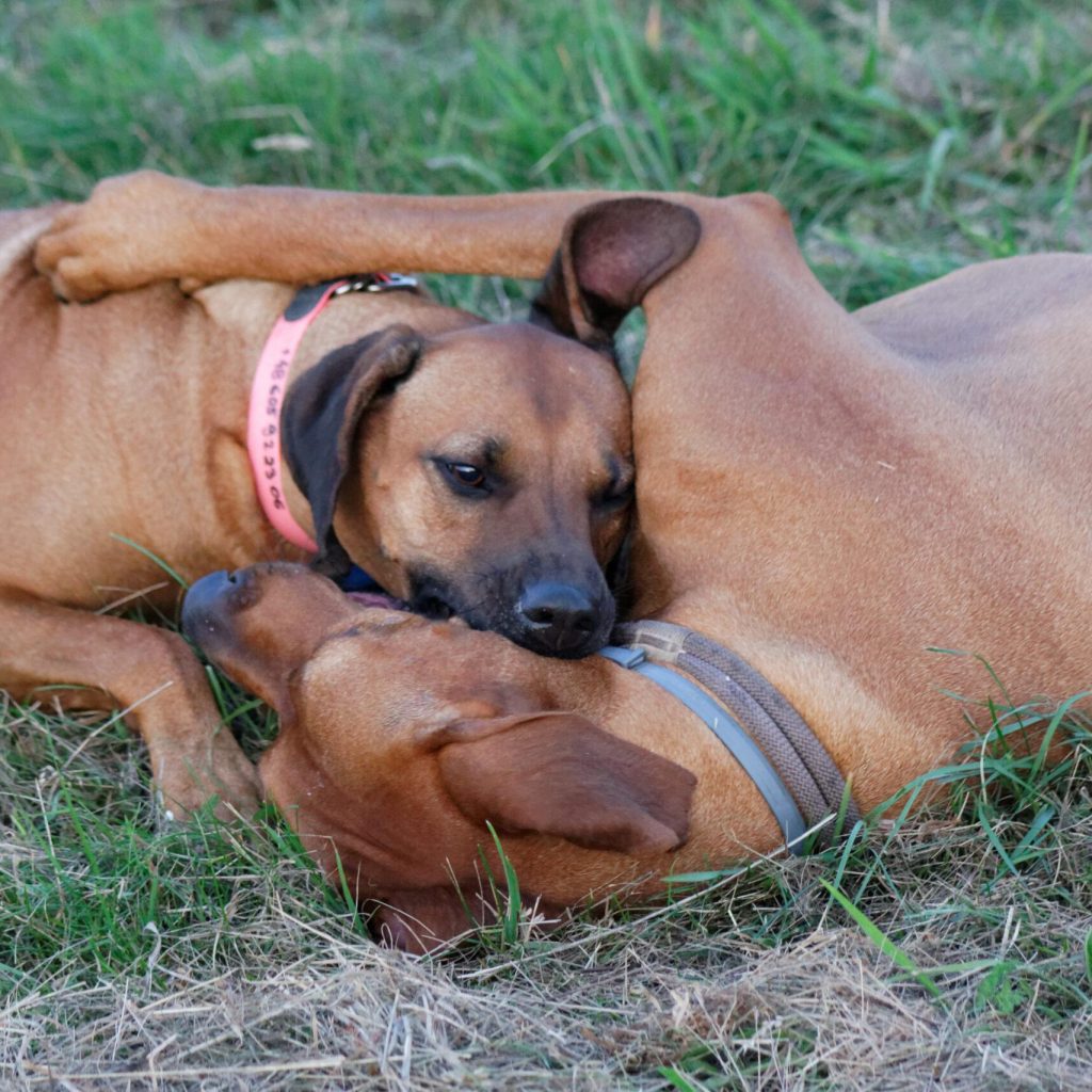 IMG_1088_DxO