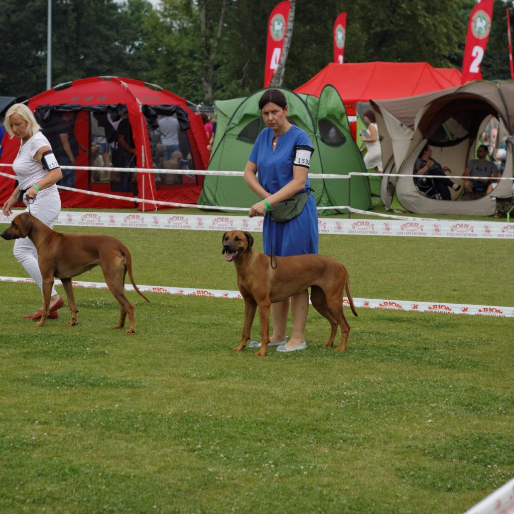 IMG_1151_DxO