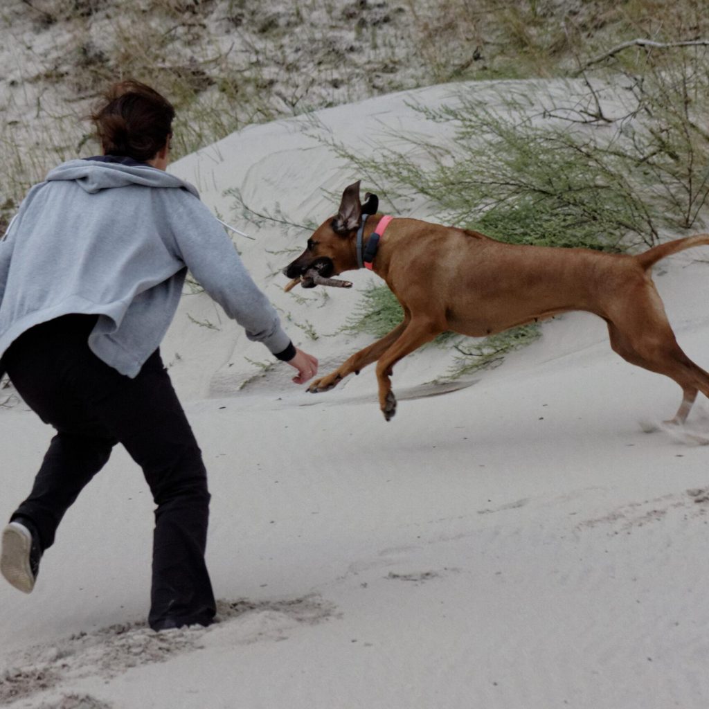 IMG_2252_DxO