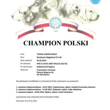 rozee_champion_polski rozee_champion_polski